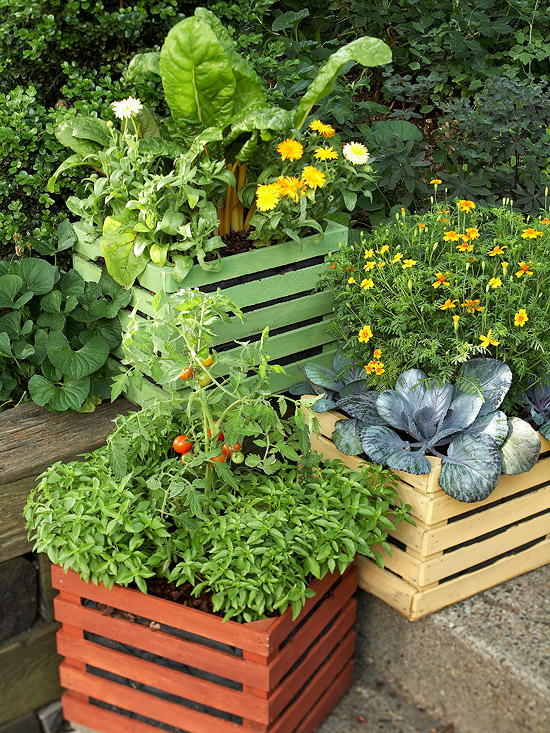 Container vegetable garden Container vegetable garden