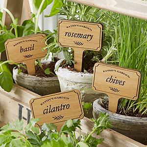 Indoor herb garden Indoor herb garden